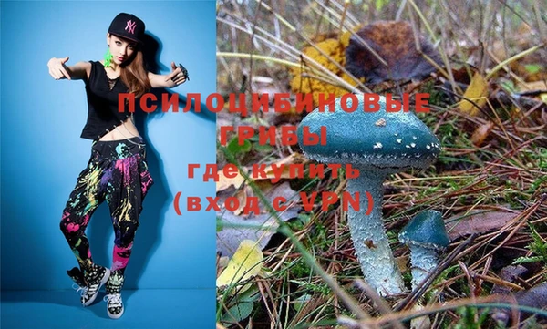 альфа пвп Няндома